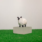 Walkabout Friends Collector Set