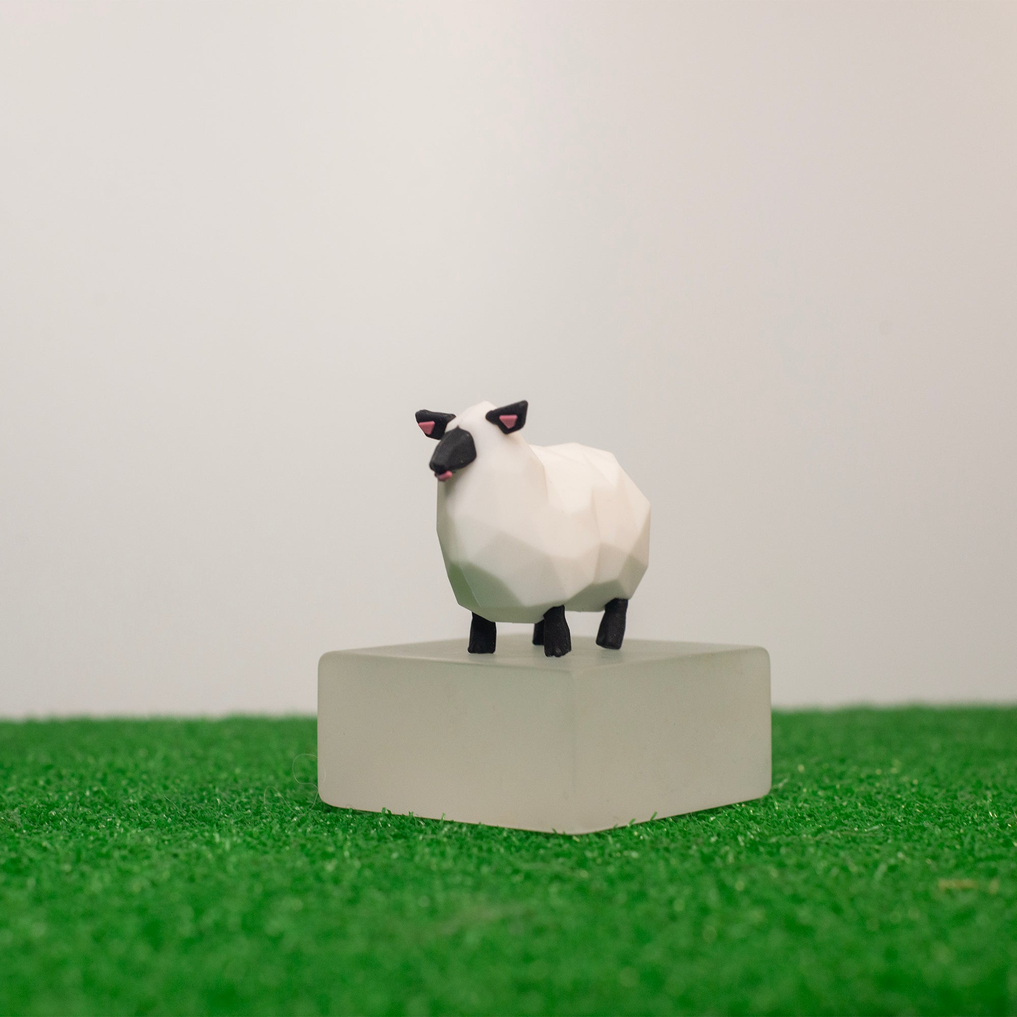 Walkabout Friends Collector Set