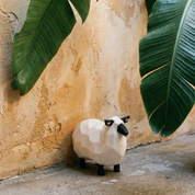 Walkabout Friends Collector Set